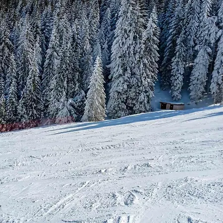 Tiva - Milmari Resort-garazno Mesto-gratis