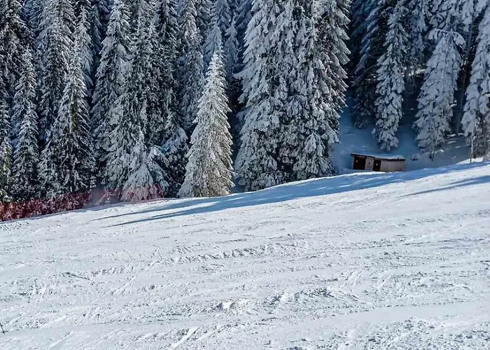 Tiva - Milmari Resort-garazno Mesto-gratis