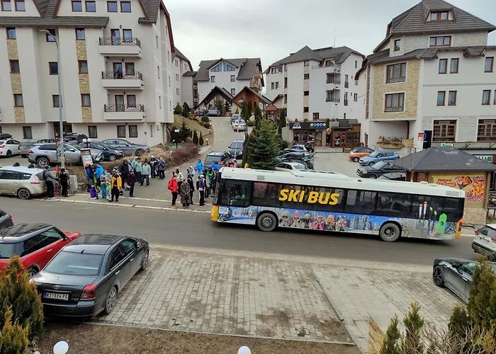 Tiva - Milmari Resort-garazno Mesto-gratis * Kopaonik